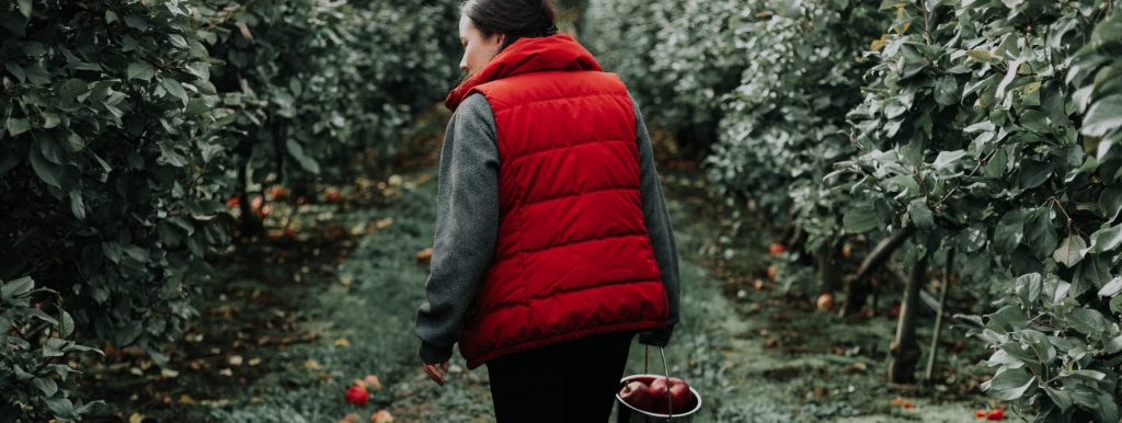 women in apple orchard